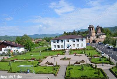 Casa Valea Doftanei- Campina PH, Brebu, parc natural - 1