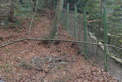 Spațiu comercial, în Central - 2