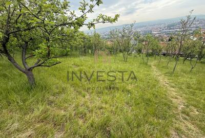 Teren Construcții intravilan de 850 mp, în Dâmbul Rotund - 3
