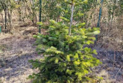 Teren de 951 mp, în Central - 3