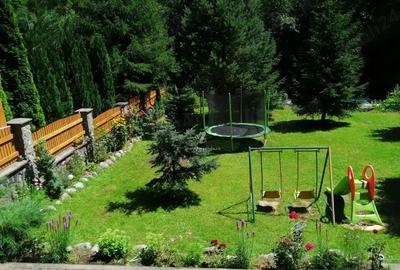 Vila de vanzare in Mun?ii Retezat, pe malul raului - 1