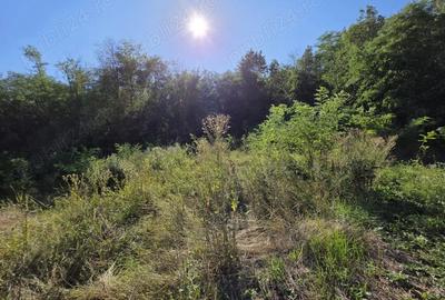 Casă cu 3 camere în Valea - 7