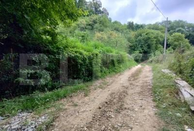 Cabana 3 cam,2 nivele 100 mp+teren extravilan 2,5 ha+1 ha pa - 3