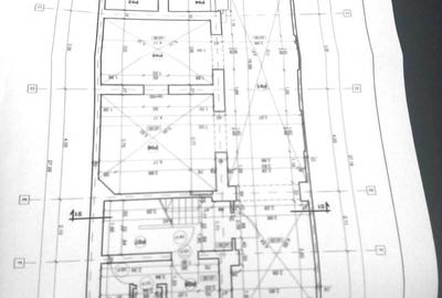 Spațiu comercial, de 250 mp, în Dacia - 5