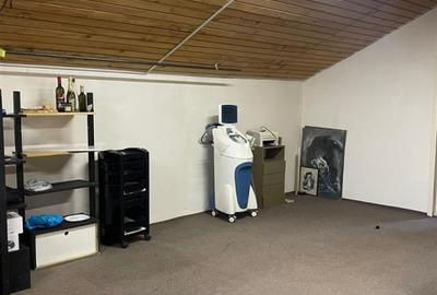 Casa cu destinatie servicii cu acces public, 220 mp, parcari, zona Iulius Mall - 8