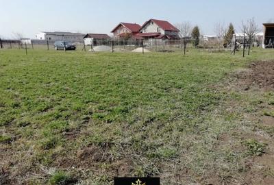 Spațiu comercial, în Valu lui Traian - 1