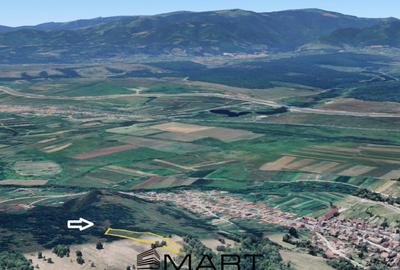 Teren extravilan 5500 mp, la padure zona Selimbar (Mohu) - 1