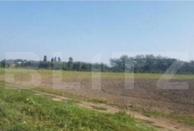 Teren extravilan, 496 mp, 16 m deschidere, Malu Mare - 1