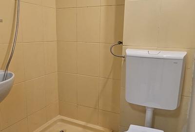 Garsoniera-renovata-integral-mobilata-utilata-poarta-6 - 7