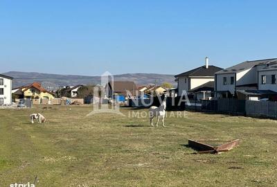 Teren de 7500 mp, în Cetate - 1