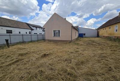 Casă individuală cu 2 camere cu Canalizare în Moșnița Nouă - 10