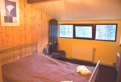 Pensiune de vanzare – 13 camere, complet mobilata si utilata – Valea Rasnoavei, - 3