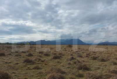 Teren de vanzare in Rasnov zona Glejerie, 10.000 mp - 1