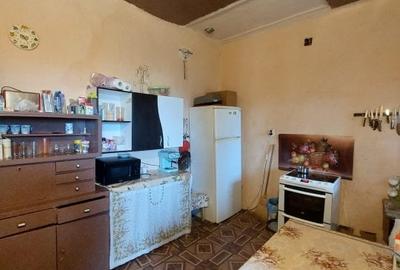 Gelu – Casa 4 Camere – Teren 6700 mp Gelu – Casa 4 Camere – Teren 6700 mp - 11