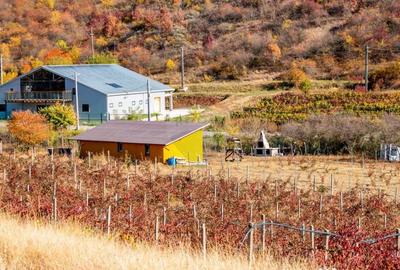 Teren de 40300 mp, în Central - 3