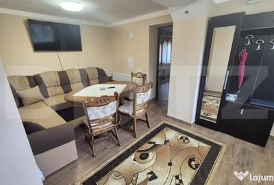Casă cu 2 camere cu Canalizare în Viile Satu Mare - 8