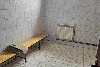 Hala 590 mp, depozitare, prestari servicii, ocolitoarea Brasov-Stupini - 5