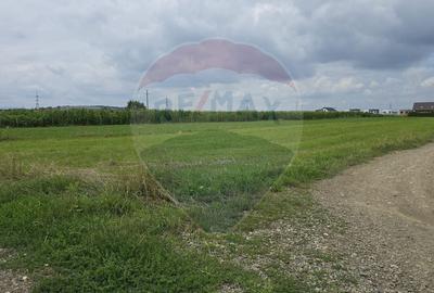 Teren 1,791mp Radauti / Strada Caramidariei - 4