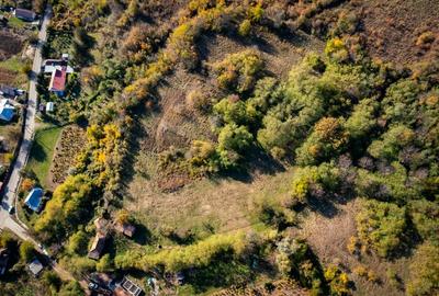 Teren intravilan 15267m2 Teren intravilan 15267m2 - 10