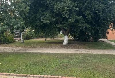 Casa cu pod mansardabil, 20 km de Delta Dunarii - 17