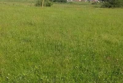 Teren de 3900 mp, în Central - 5