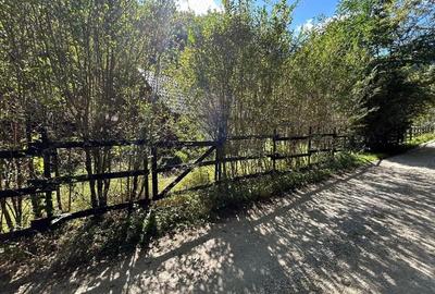 Cabana de vanzare, Valea Manastirii - Ramet - 4