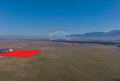 Teren 11,600mp Rasnov / DN 73 zona Tabara, bonus un teren de 3000 mp Teren 11,600mp Rasnov / DN 73 zona Tabara, bonus un teren de 3000 mp - 2