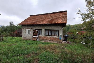 Casa de Vanzare Baiculesti Arges - 3