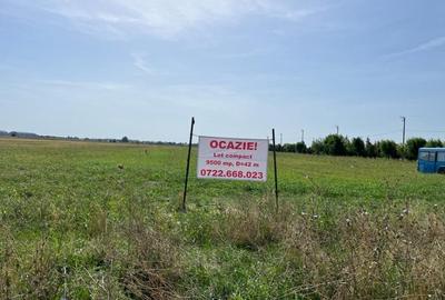 Teren Construcții intravilan de 9400 mp, în Vest