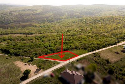 Teren intravilan de 534 mp, în Săldăbagiu de Munte - 4