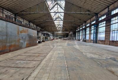 Hala cu pod rulant | Industriilor - 11