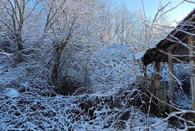 Casă cu 2 camere în Lupac - 1