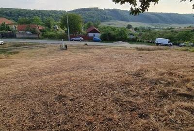 Teren de 1034 mp, în Sânmartin - 4
