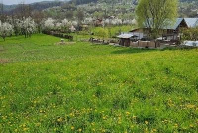 Teren vanzare in comuna Adunati - zona BREAZA - Prahova Teren vanzare in comuna Adunati - zona BREAZA - Prahova - 2