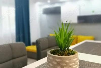 Apartament 2 Camere de Inchiriat - 4