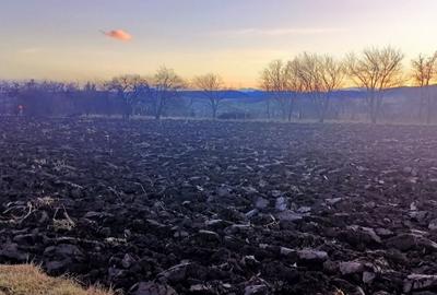 Teren de 4000 mp, în Negrești - 2