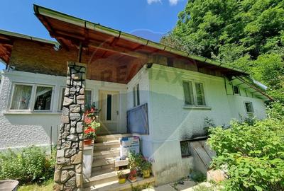 Casa de la marginea padurii! - 2