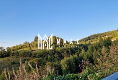 Teren agricol extravilan de 117000 mp, în Râmeț - 8