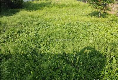 Teren de 850 mp, în Mihăilești