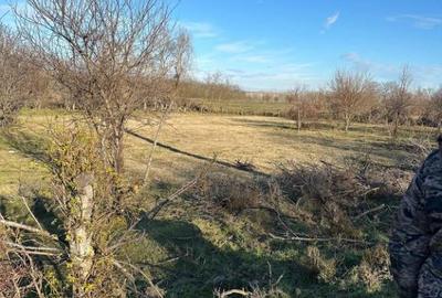 Teren- intravilan in DELTA- loc BALTENII DE JOS - 4