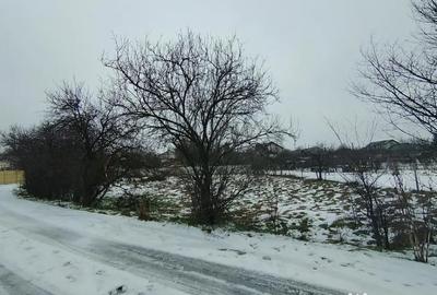 Teren de 640 mp, în Mischii - 2