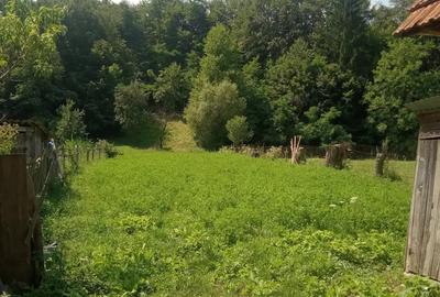 Casa ?i teren intravilan in Teliu - 4