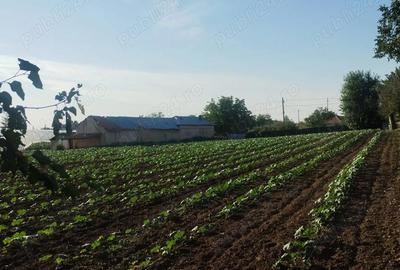 Casă cu 5 camere în Bragadiru - 3