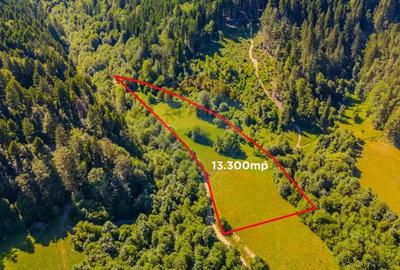 COMISION 0% Teren Bradet 7300 + 6000 mp/ Sacele /Intravilan - 5