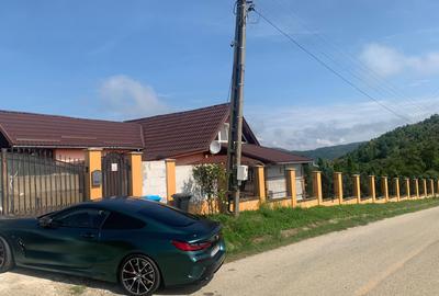 Casă cu 5 camere cu Teren 2800 Mp în Dudești - 10