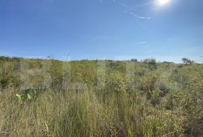 Teren de 3800 mp, în Crișeni - 4