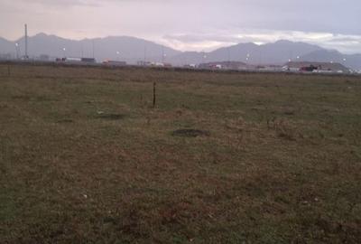 Teren Sanpetru 6300 mp Ocolitoare, posibilitate rate