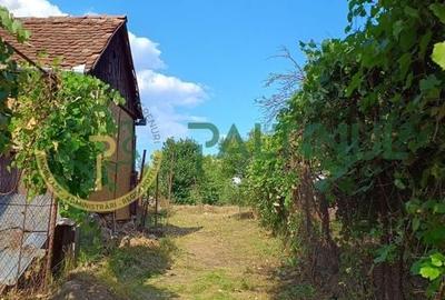 Casă cu teren 1.647 mp de vânzare – Hașag, Sibiu - 3