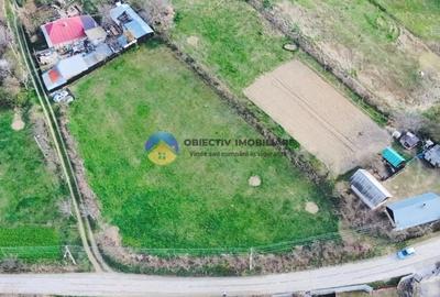 Teren Construcții intravilan de 2879 mp, în Dobreni - 3