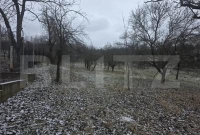 Teren de 9066 mp, în Central - 2